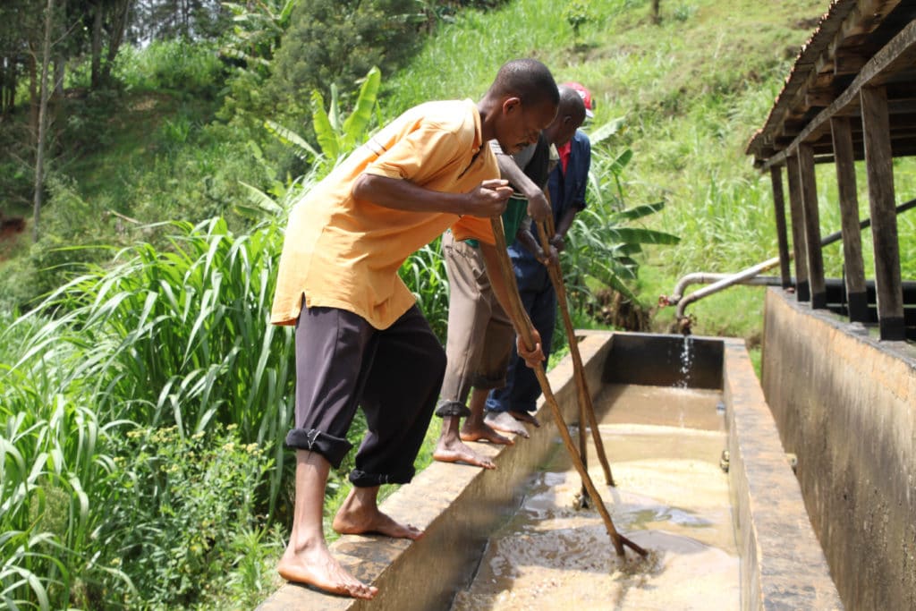 Karogoto Coffee Cooperative Processing