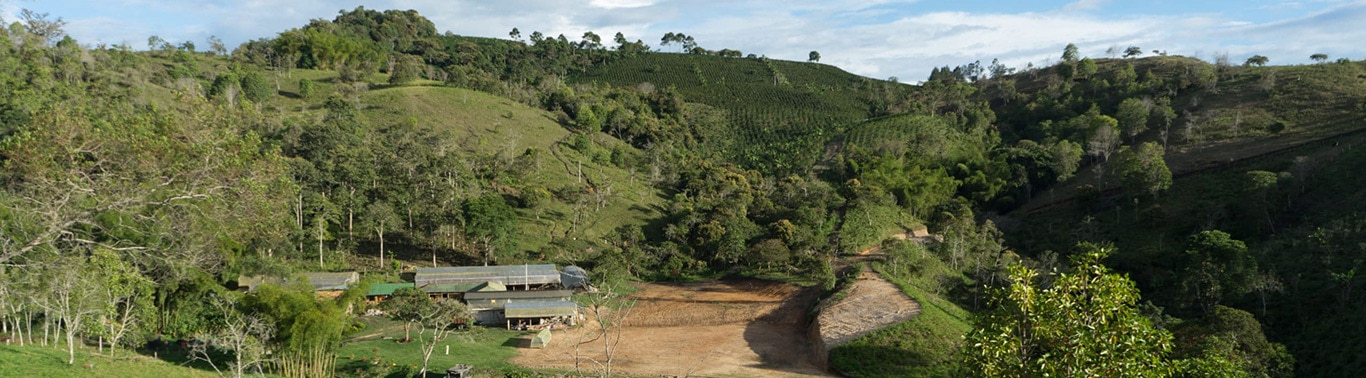 View from Finca Tamana Coffee Farm