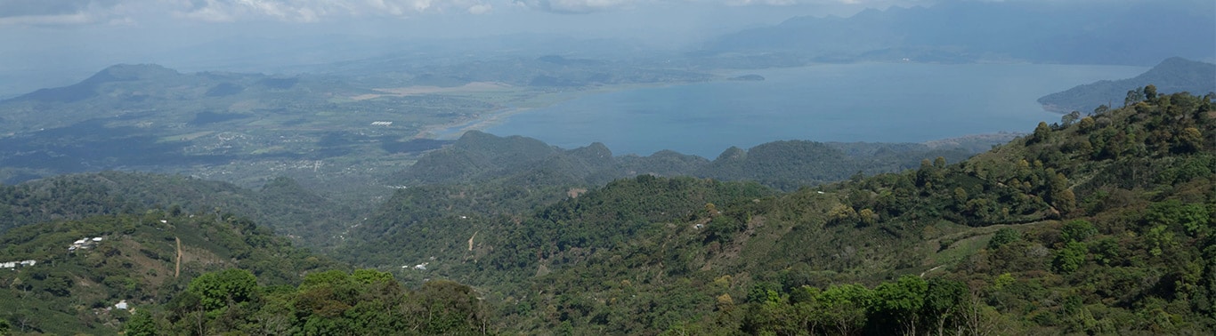 View from Nacimiento Coffee Farm